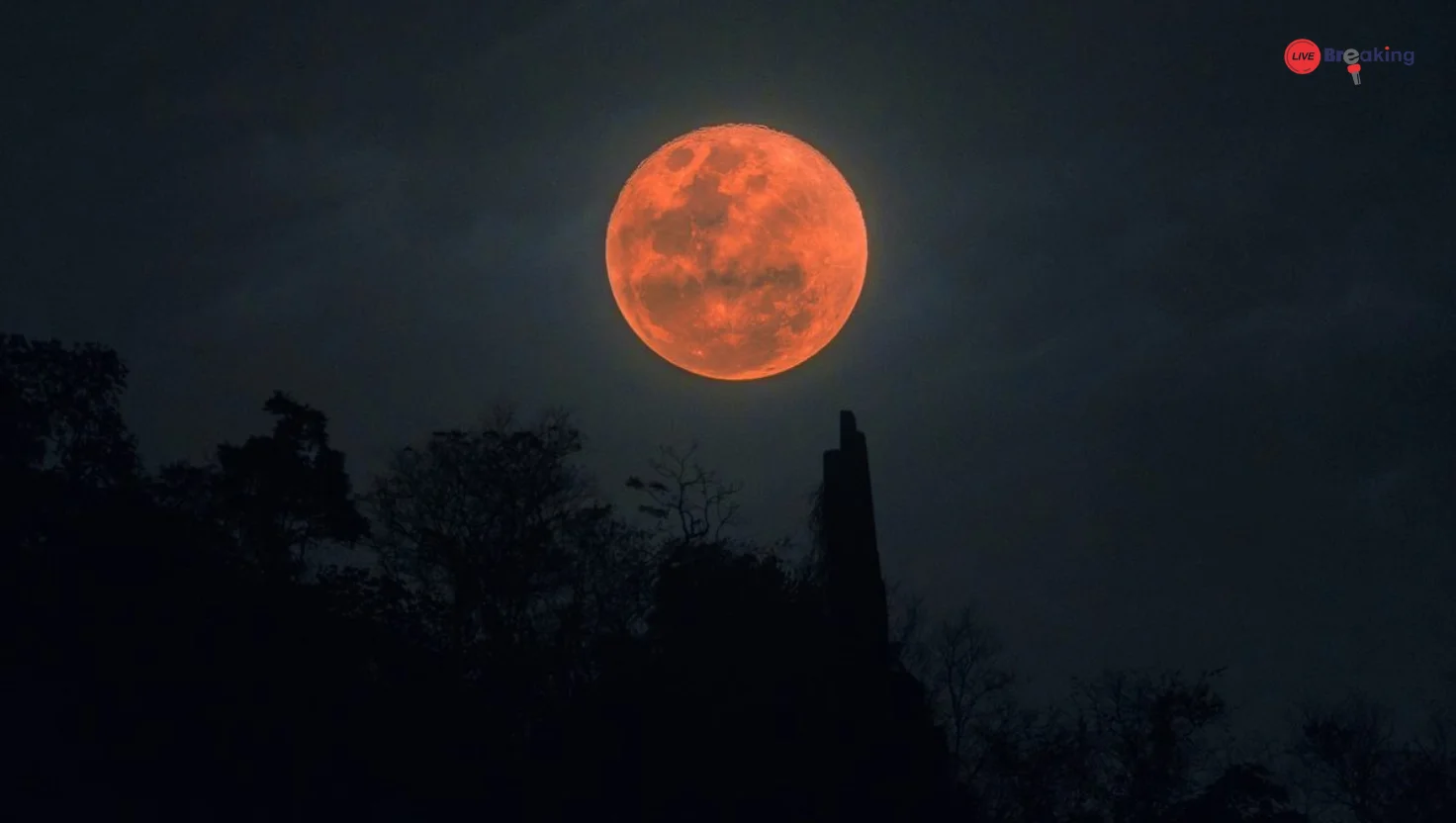 Lunar Eclipse 2025