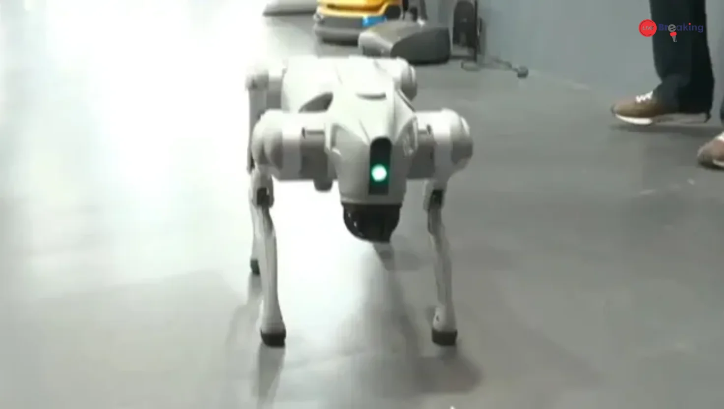 Galgotias University