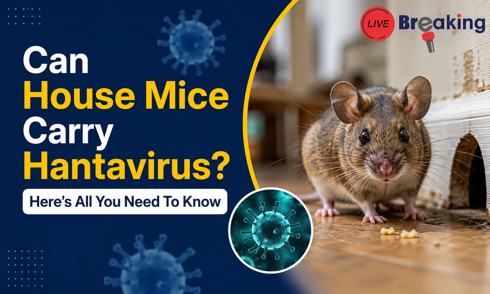 Hantavirus